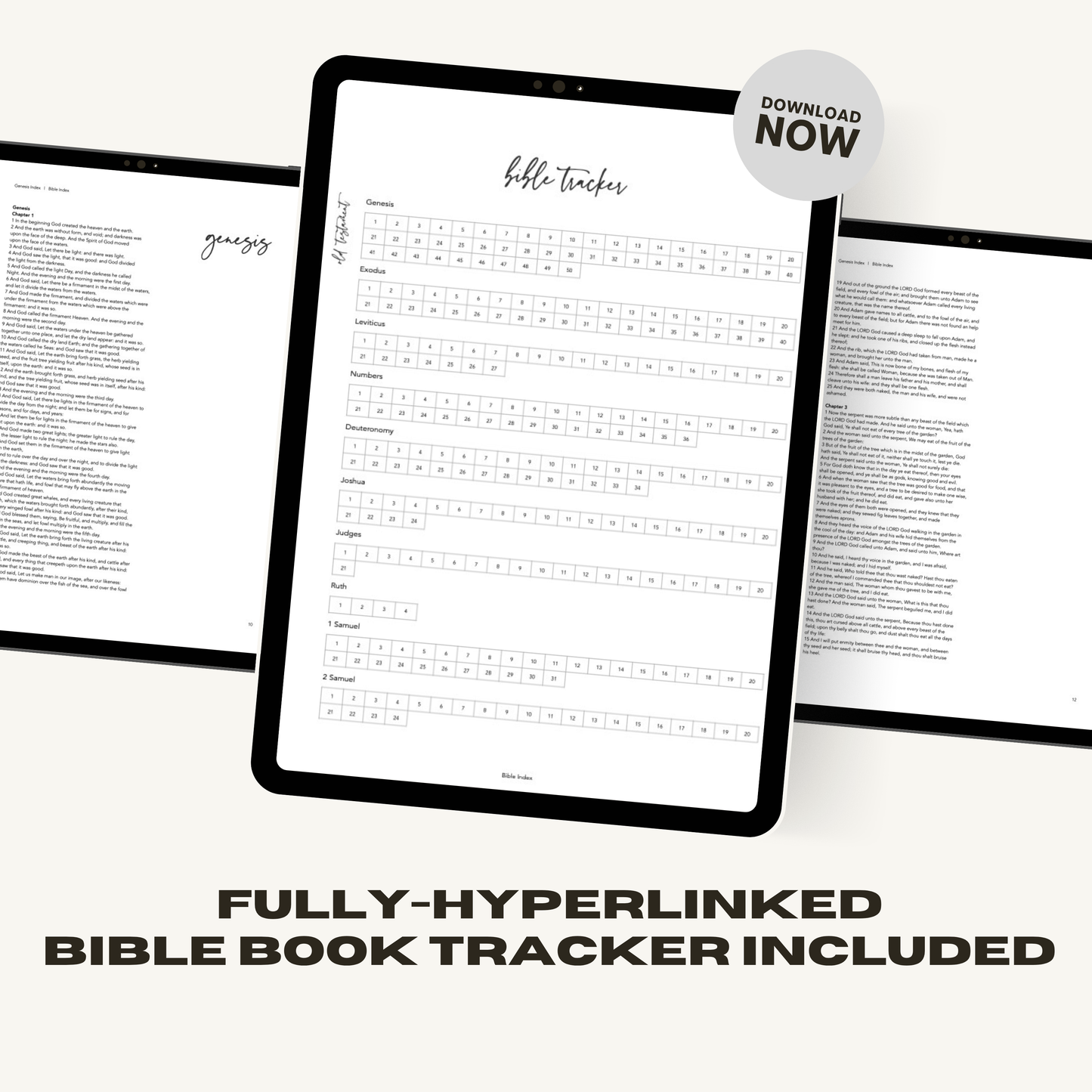 Digital Pink Holy Bible (KJV)