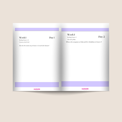 Girl Read Your Bible Bible Book Summaries & 12 Week Reading Plan